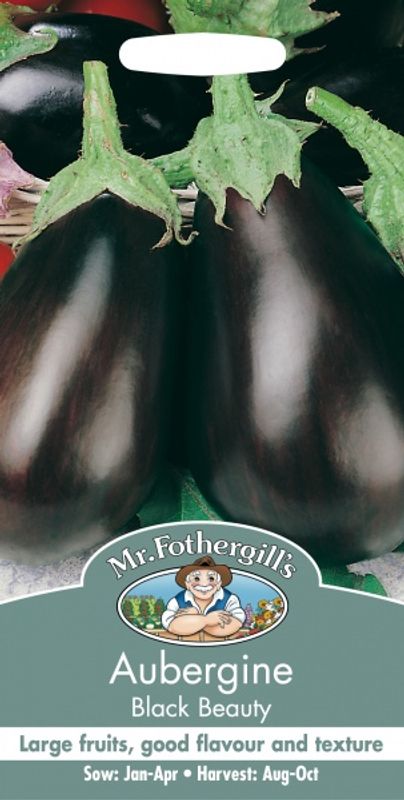 Aubergine 'Black Beauty’ - Solanum melongena
