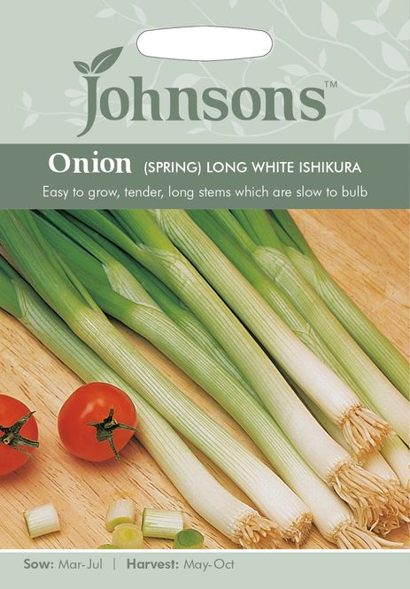 Hovedbilde Vårløk 'Long White Ishikura' - Allium fistulosum