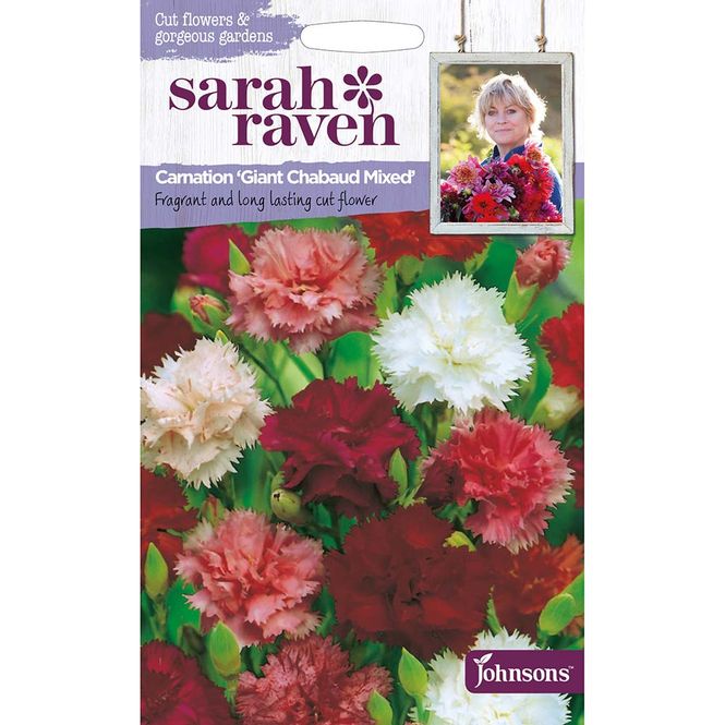 Hovedbilde Hagenellik 'Giant Chabaud Mixed' - Dianthus caryophyllus