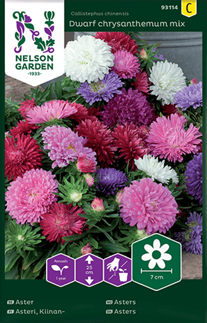 Hovedbilde Sommeraster 'Dwarf Chrysanthemum Mix' - Callistephus ...