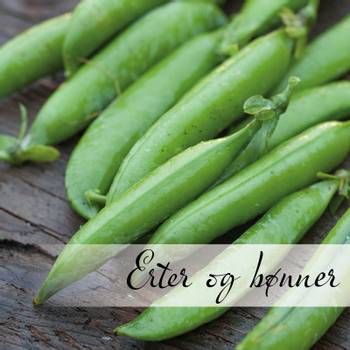 Hovedbilde Erter og bønner