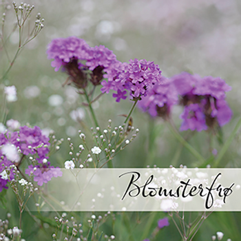 Hovedbilde Blomsterfrø