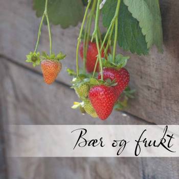 Hovedbilde Bær og frukt