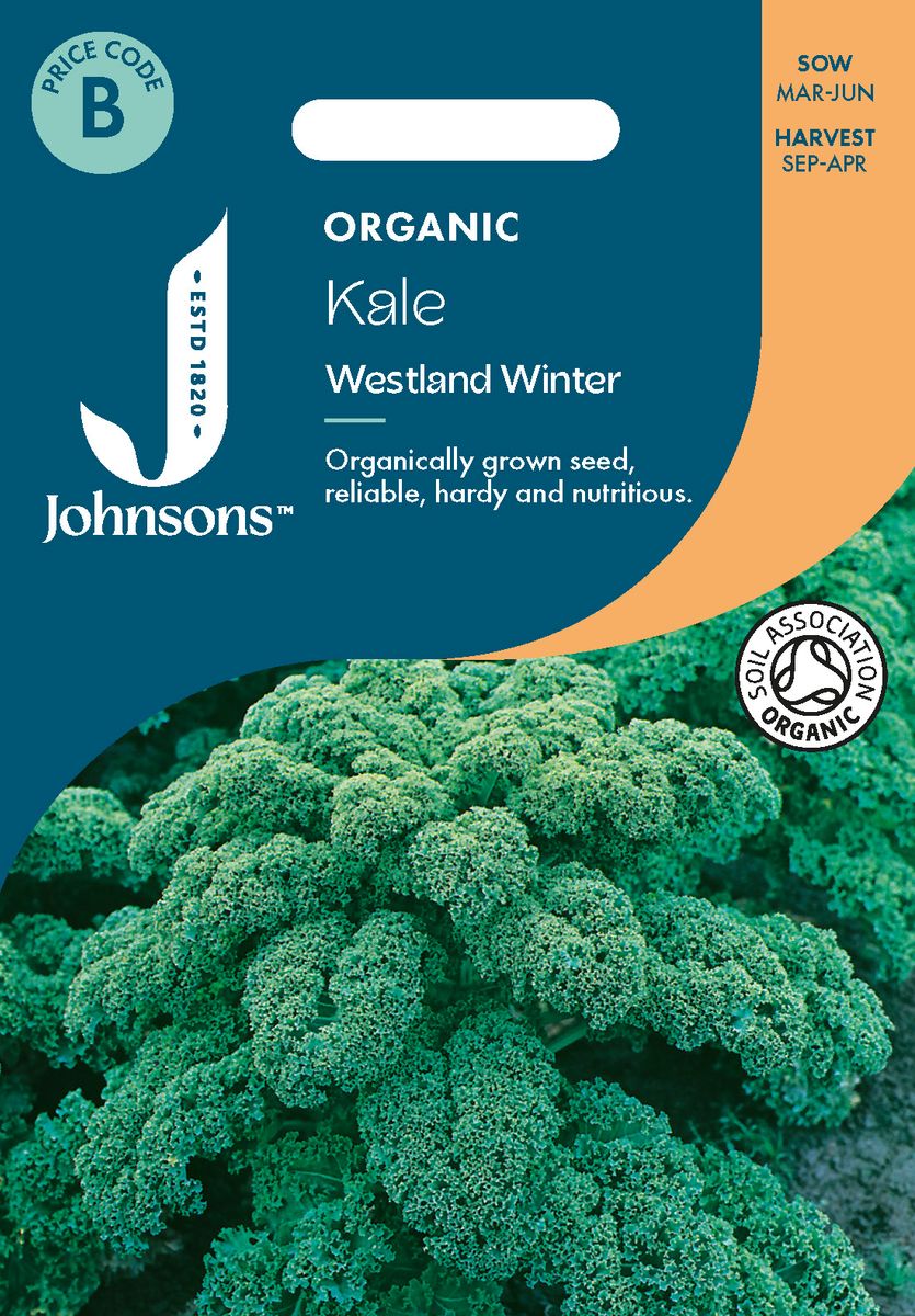 Grønnkål 'Westland Winter' - Brassica oleracea - Organic