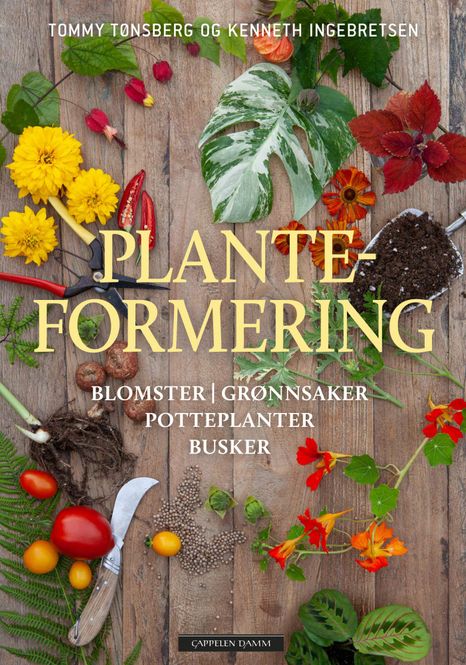 Hovedbilde Planteformering