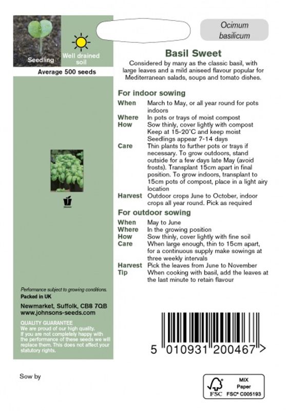 Basilikum 'Sweet' - Ocimum basilicum