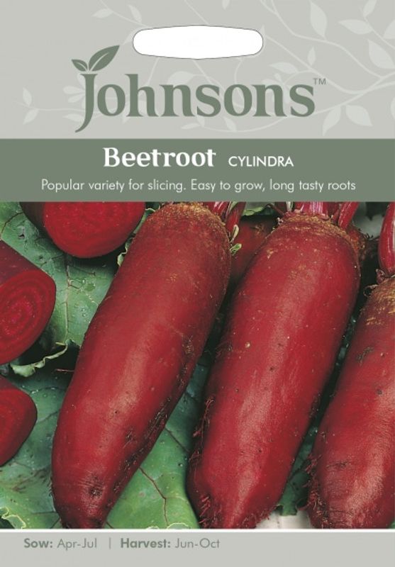Rødbete 'Cylindra - Beta vulgaris