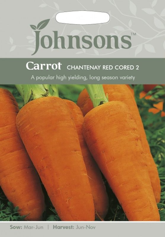 Gulrot 'Chanteney Red Cored 2' - Daucus carota