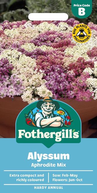 Hovedbilde Silkedodre 'Aphrodite Mixed' - Lobularia maritima 
