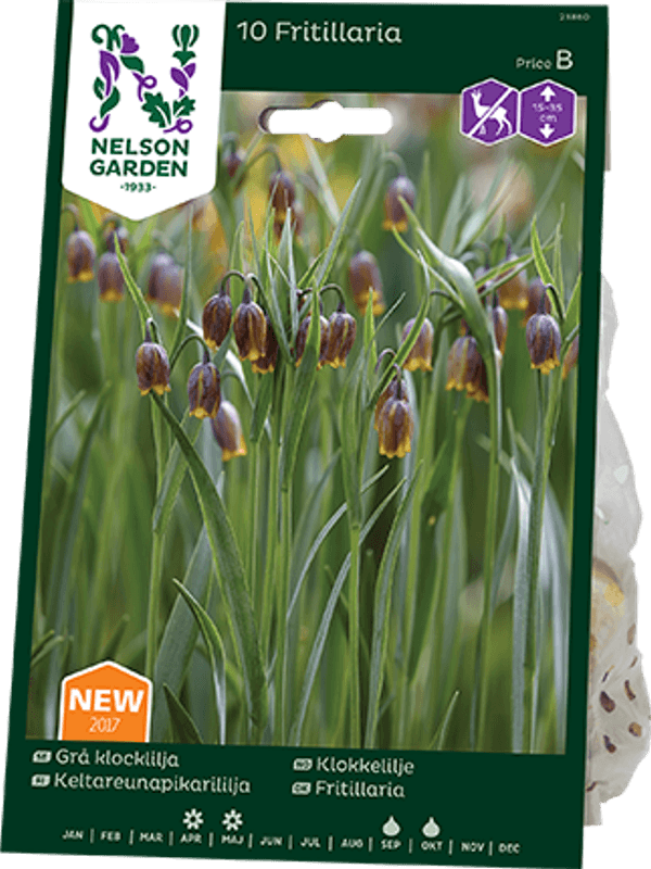 Druehode - Fritillaria uva-vulpis 15 stk