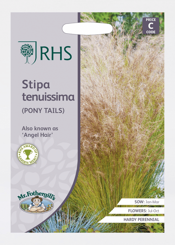 Penselfjørgras 'Pony Tails'- Stipa tenuissima