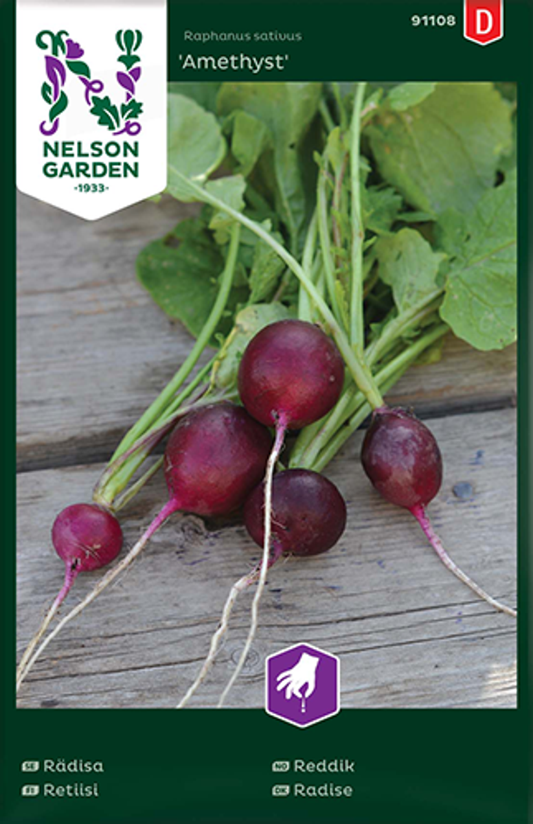 Reddik 'Amethyst - Raphanus sativus