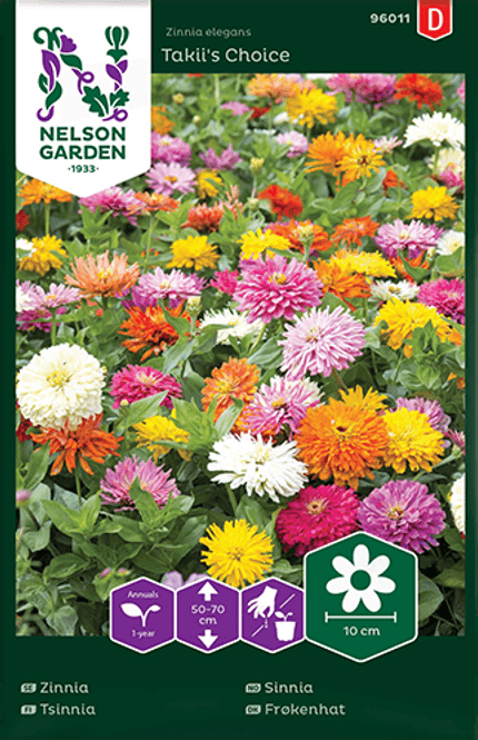 Hovedbilde Sinnia 'Takii's Choice' - Zinnia elegans 