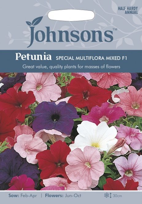 Hovedbilde Petunia 'Special Multiflora Mixed' F1 - Petunia multiflora