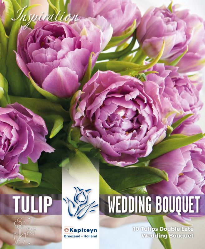 Tulipan 'Wedding Bouquet', sen dobbel - 8 stk