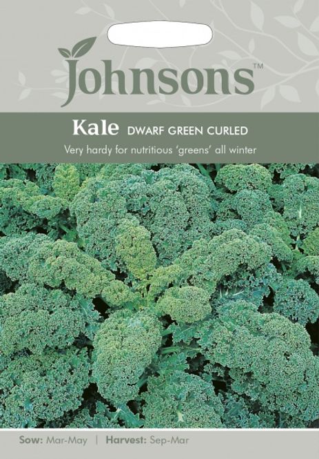 Hovedbilde Grønnkål 'Dwarf Green Curled' - Brassica oleracea