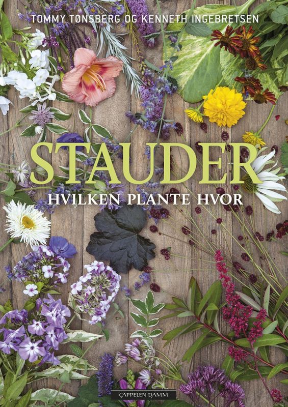 Stauder - hvilken plante hvor