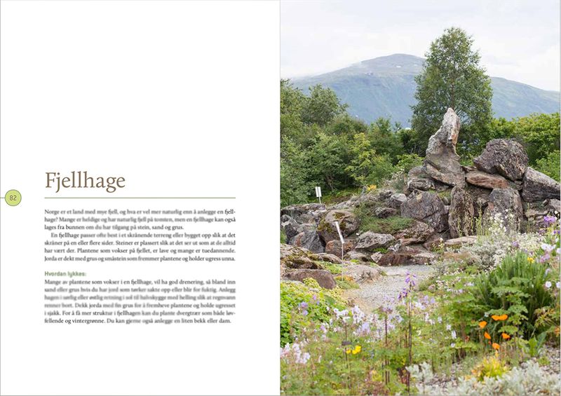 Stauder - hvilken plante hvor