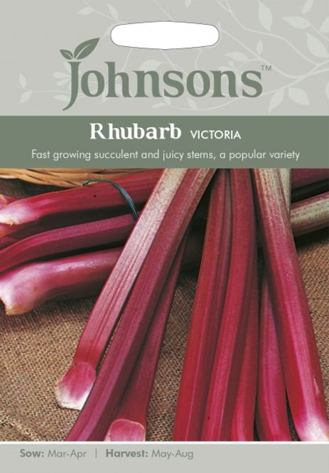 Hovedbilde Rabarbra 'Victoria' - Rheum x cultorum