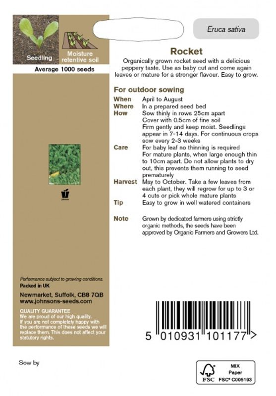 Ruccola - Eruca sativa, Organic