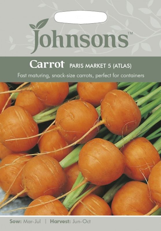 Gulrot 'Paris Market 5' (Atlas) - Daucus carota