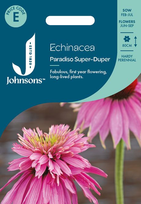 Hovedbilde Purpursolhatt 'Paradiso Super-Duper’ - Echinacea ...