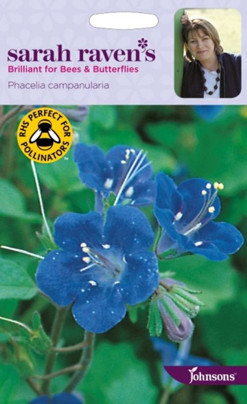 Klokkehonningurt - Phacelia campanularia