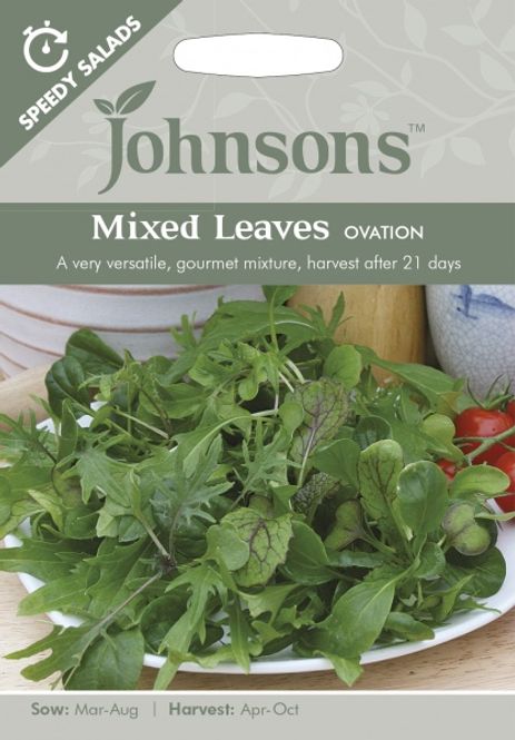 Hovedbilde Salatblanding 'Ovation'