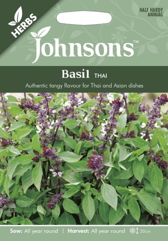 Basilikum 'Thai' - Ocimum basilicum