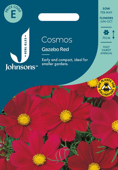 Hovedbilde Pyntekorg 'Gazebo Red' - Cosmos bipinnatus