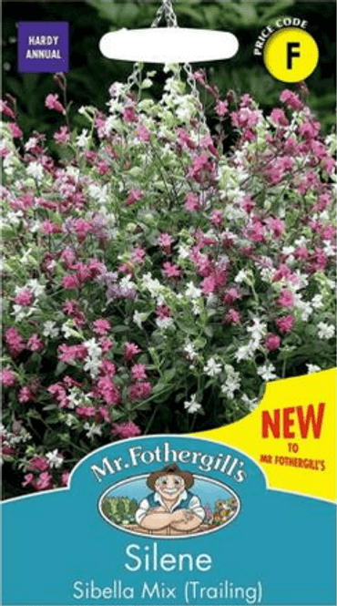 Hovedbilde Hengesmelle 'Sibella Mix' - Silene pendula