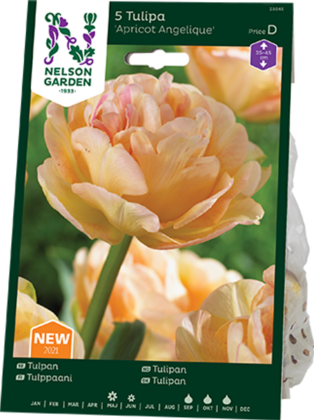 Hovedbilde Tulipan 'Apricot Angèlique', Sen dobbel - 5 stk