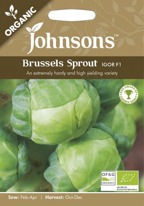Hovedbilde Rosenkål 'Igor' - Brassica oleracea, Organic