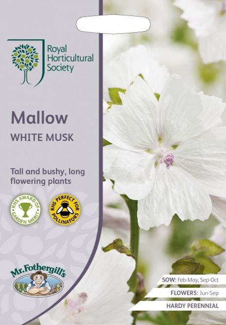 Hovedbilde Moskuskattost- Malva moschata f. alba