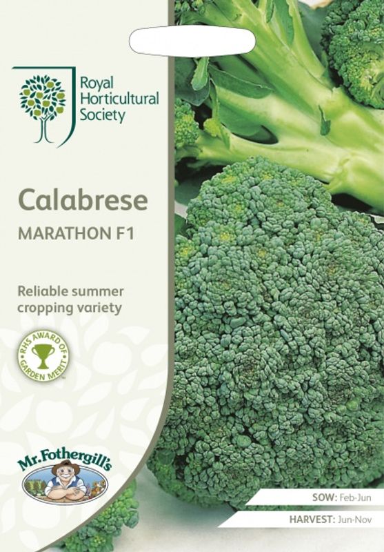 Brokkoli 'Marathon' F1 - Brassica oleracea