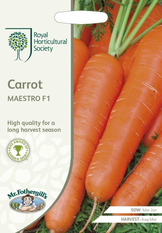 Gulrot 'Maestro' F1 - Daucus carota
