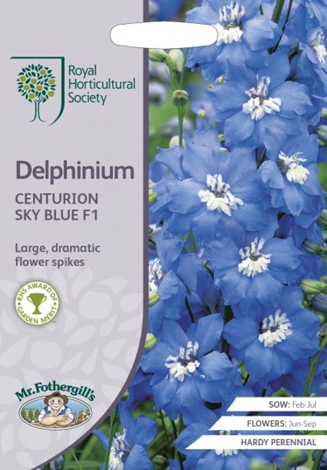 Hovedbilde Ridderspore 'Centurion Sky Blue' - Delphinium