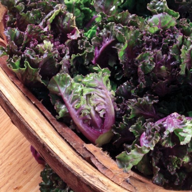 Hovedbilde Rosettkål 'Petit Posi’ - Brassica oleracea