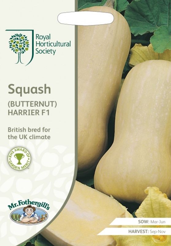 Flaskegresskar 'Harrier' F1 - Cucurbita pepo