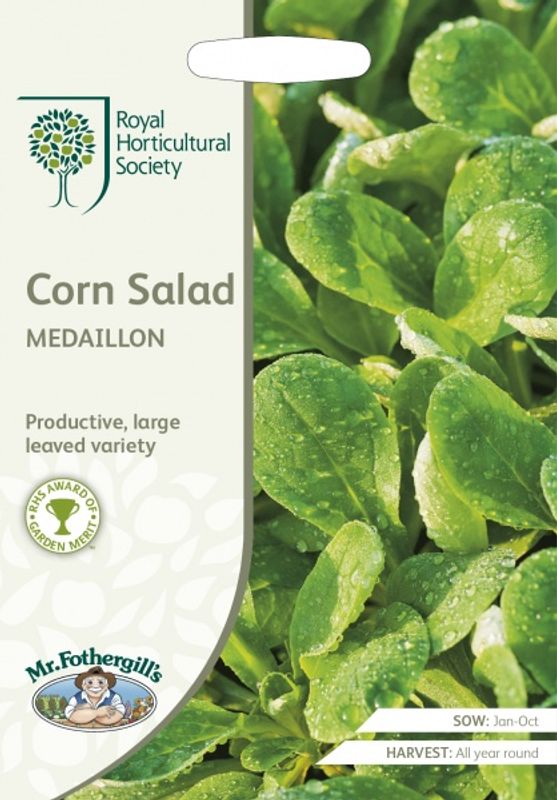 Feltsalat 'Medaillon' - Valerianella locusta
