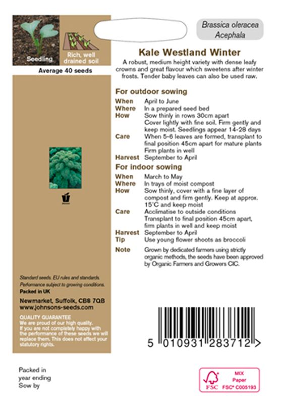 Grønnkål 'Westland Winter' - Brassica oleracea - Organic