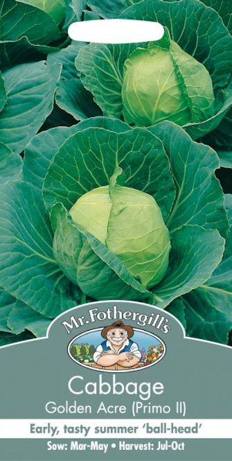 Hovedbilde Hodekål 'Golden Acre' - Brassica oleracea 