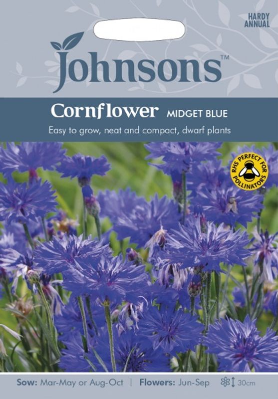 Kornblomst 'Midget Blue', lav - Centaurea cyanus