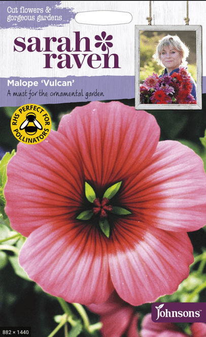 Hovedbilde Sommerstokkrose 'Vulcan'