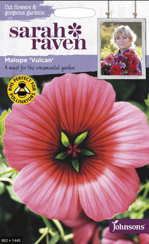 Sommerstokkrose 'Vulcan'
