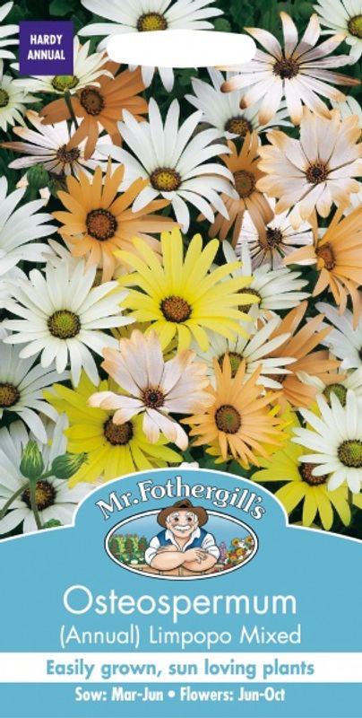 Spansk margeritt 'Limpopo Mixed' - Osteospermum
