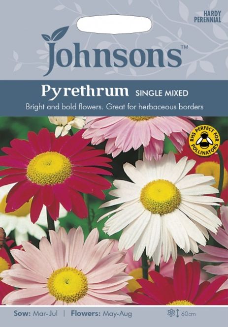 Hovedbilde Rosekrage 'Single Mixed' - Tanacetum coccineum 