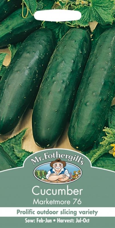 Slangeagurk 'Marketmore 76’ - Cucumis sativus, friland