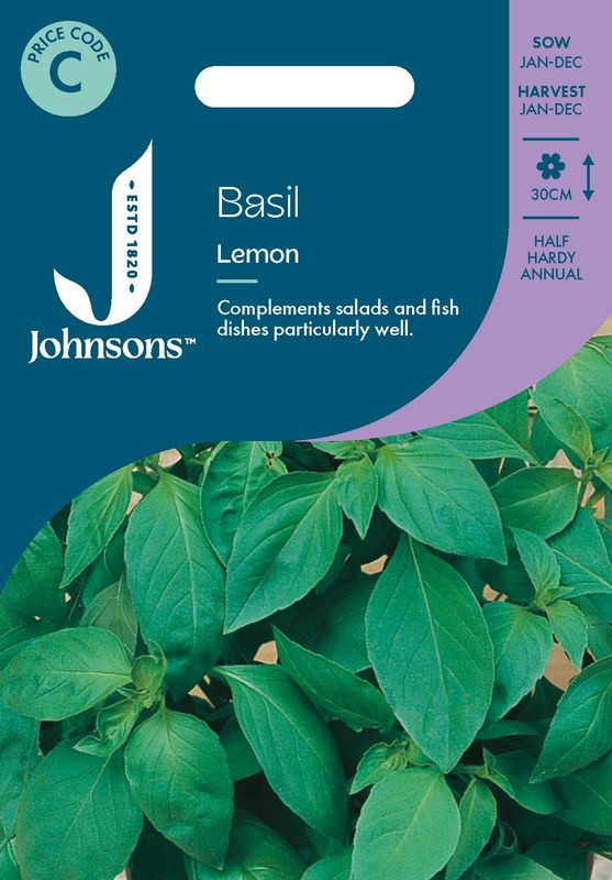 Basilikum 'Lemon' - Ocimum basilicum 