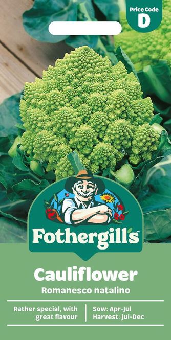 Hovedbilde Blomkål ’Romanesco natalino' - Brassica oleracea